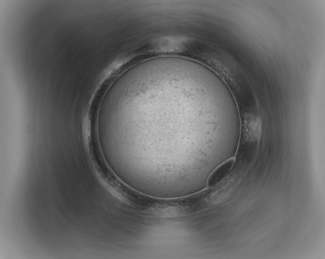 X0000112740726200908201346