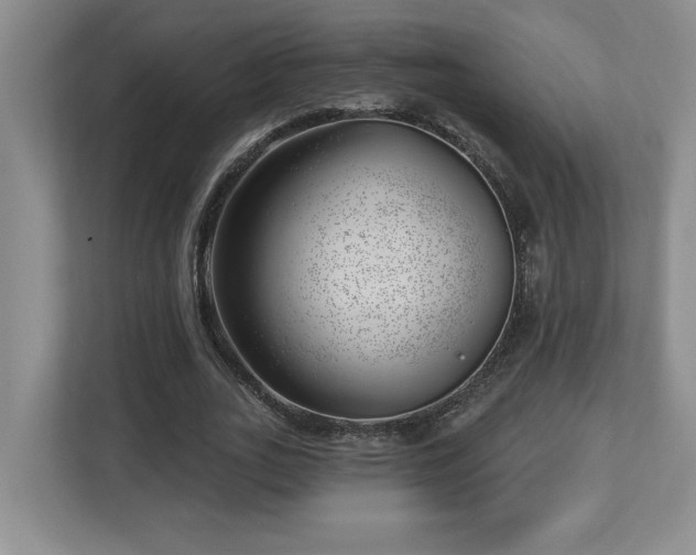 X0000112740727200908201346