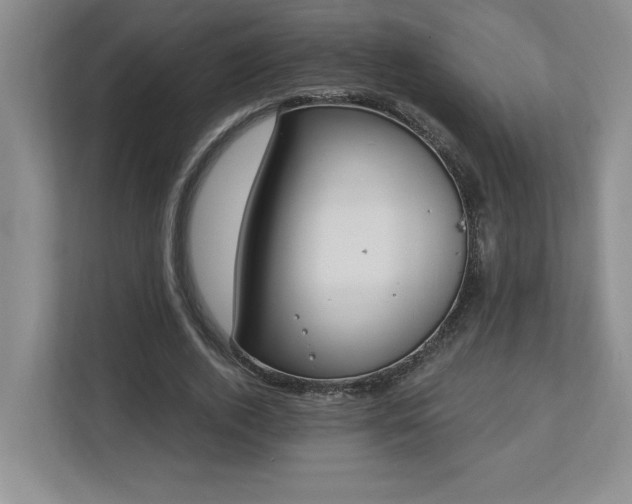 X0000112740728200908201346