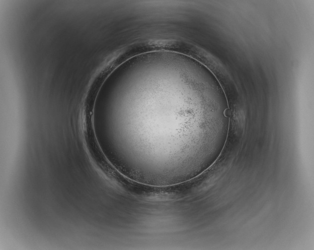 X0000112740734200908201346