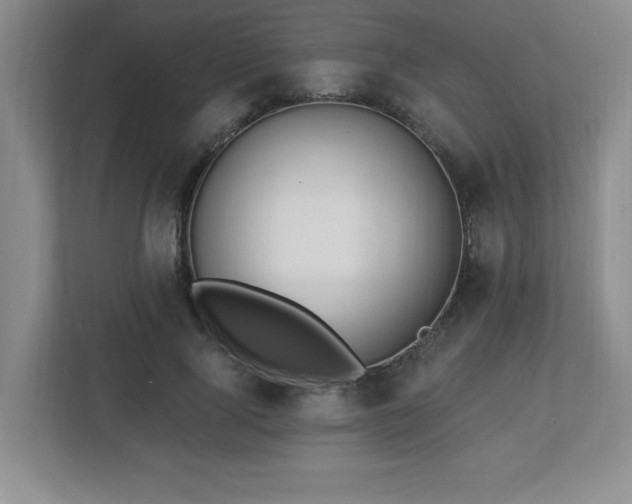X0000112740740200908201346