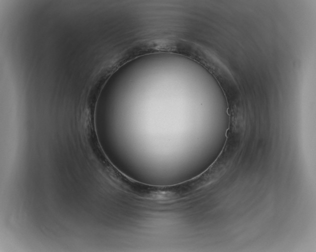 X0000112740748200908201346