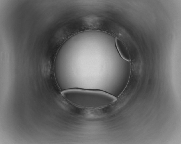 X0000112740752200908201346