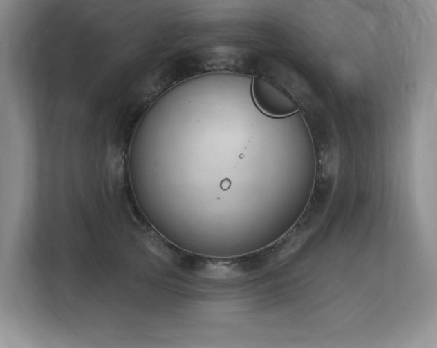 X0000112740753200908201346