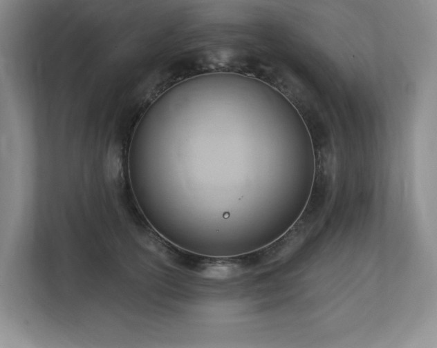 X0000112740754200908201346