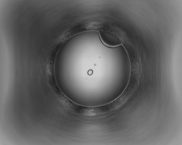 X0000112740755200908201346