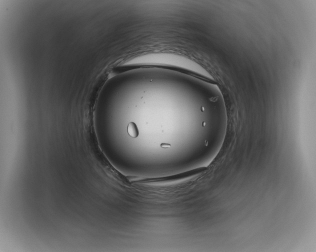 X0000112740756200908201346