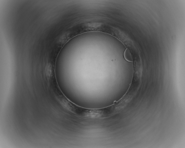X0000112740758200908201346