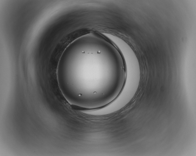 X0000112740762200908201346