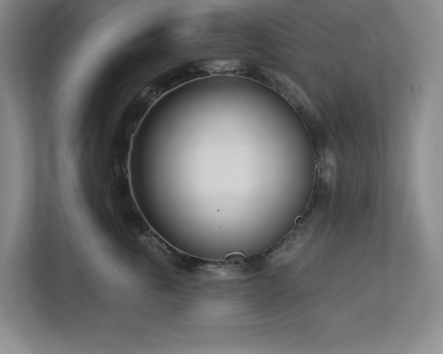 X0000112740763200908201346