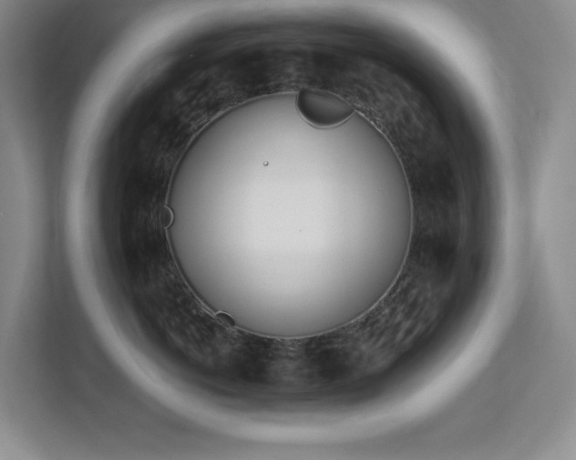 X0000112740766200908201346