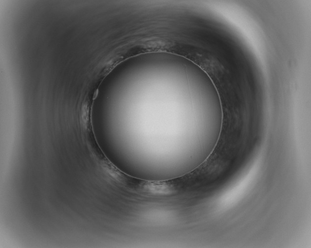 X0000112740767200908201346