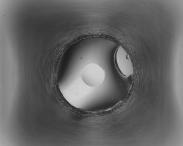 X0000112740769200908201346