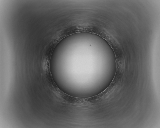 X0000112740770200908201346
