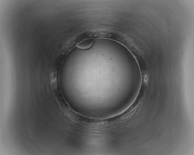 X0000112740771200908201346
