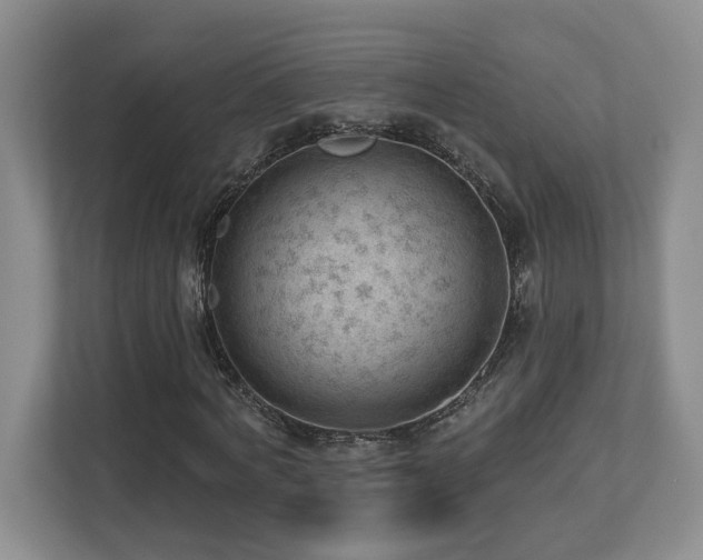 X0000112740772200908201346