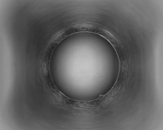 X0000112740774200908201345