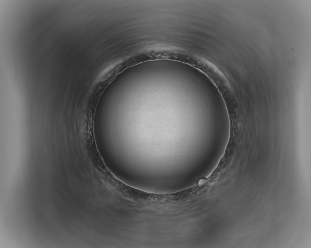 X0000112740775200908201345