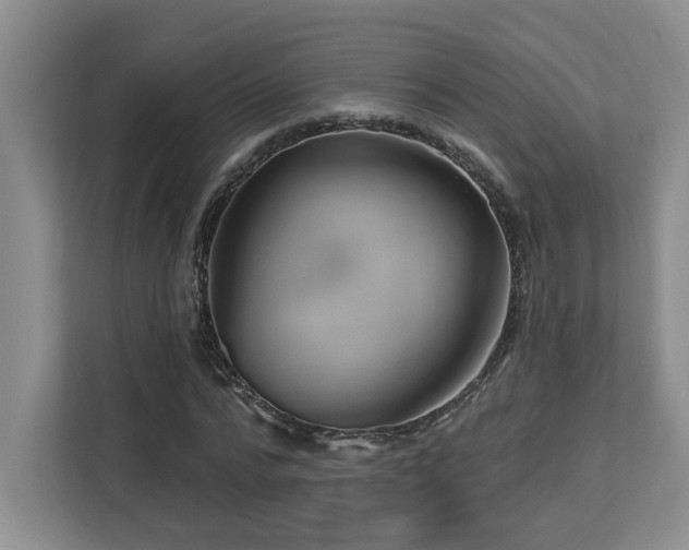 X0000112740776200908201345