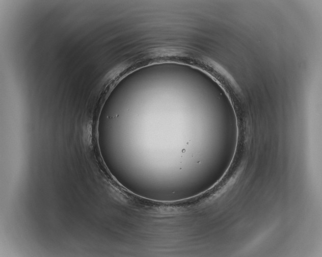 X0000112740777200908201345