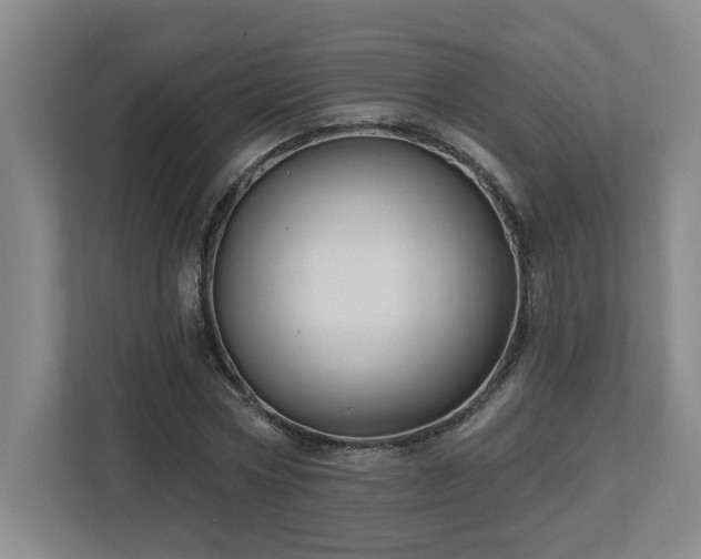 X0000112740778200908201345