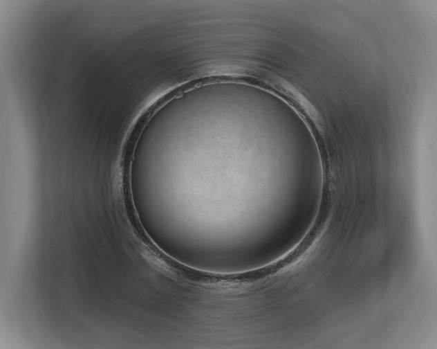 X0000112740779200908201345