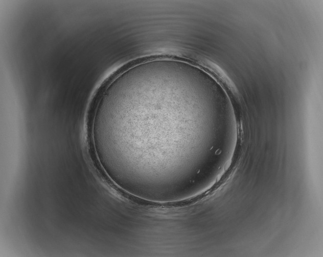X0000112740780200908201345