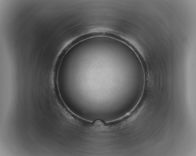 X0000112740783200908201345