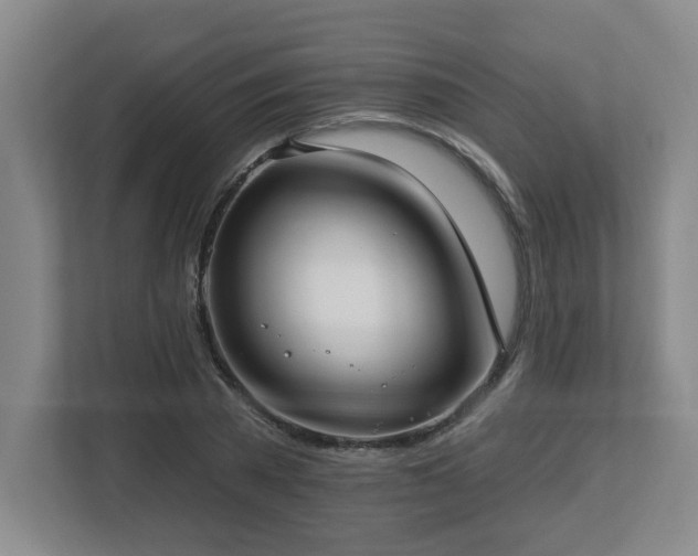 X0000112740785200908201345