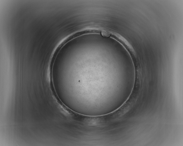 X0000112740791200908201345