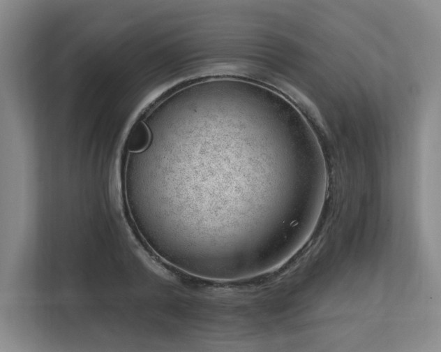 X0000112740792200908201345