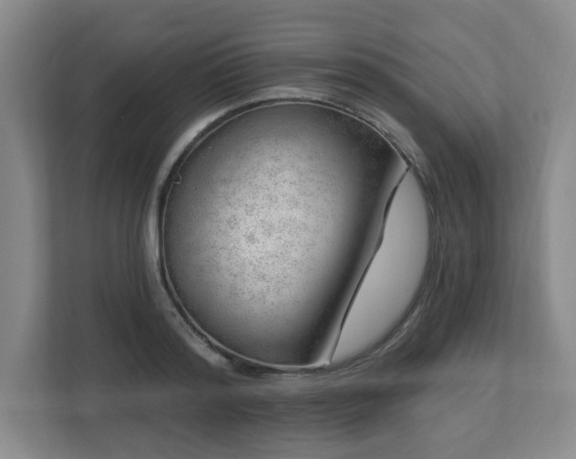X0000112740796200908201345