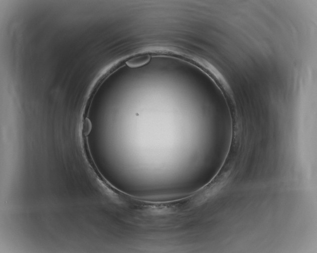 X0000112740799200908201345