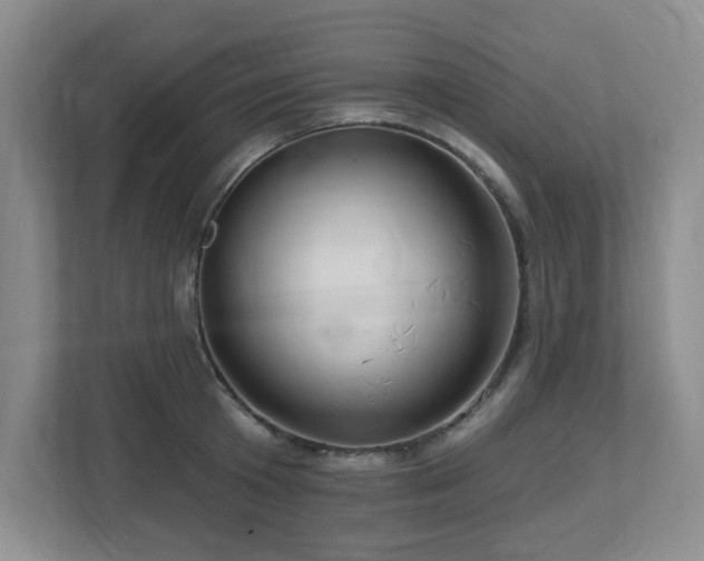 X0000112740801200908201345