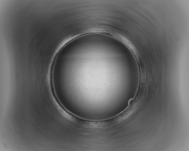 X0000112740803200908201345