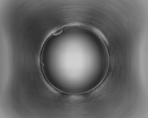 X0000112740805200908201345