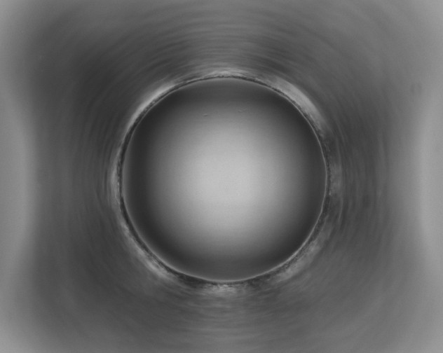 X0000112740806200908201345