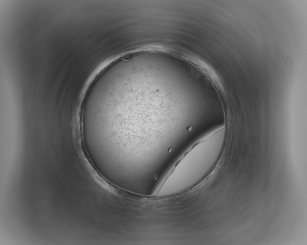 X0000112740808200908201345