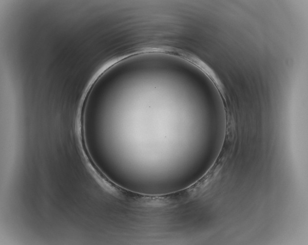 X0000112740811200908201345