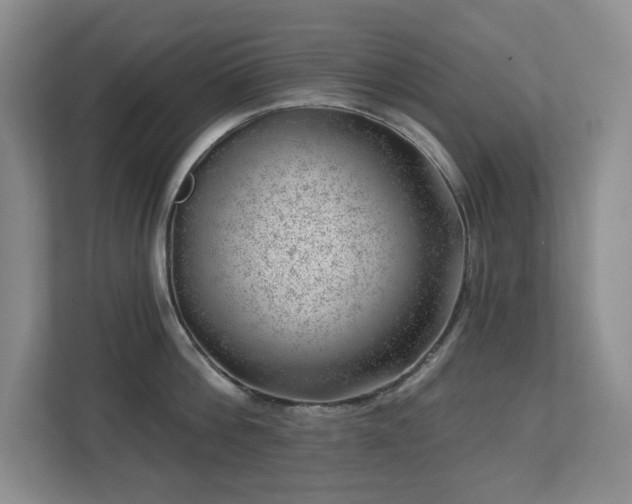 X0000112740812200908201345