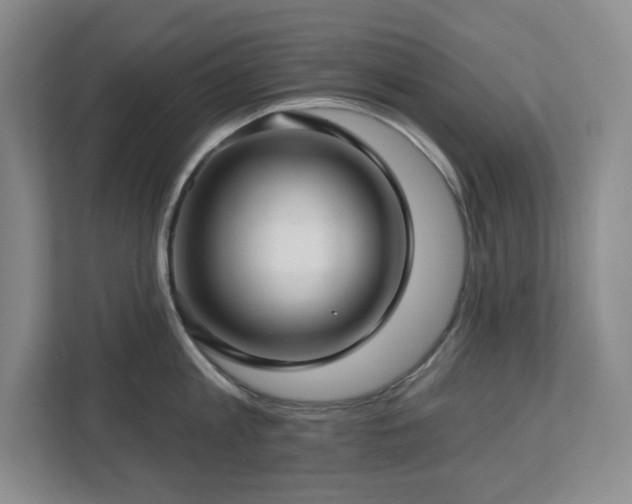 X0000112740813200908201345