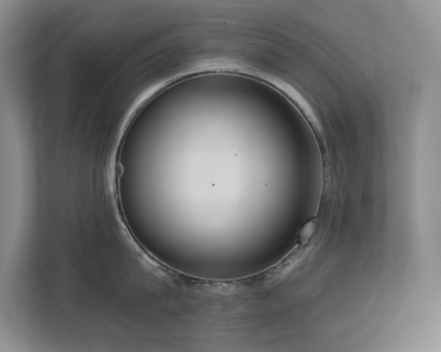 X0000112740815200908201345