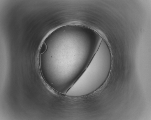 X0000112740816200908201345