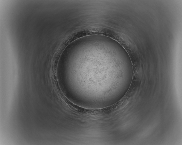 X0000112740817200908201344