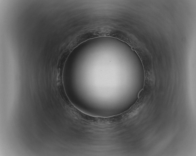 X0000112740818200908201344