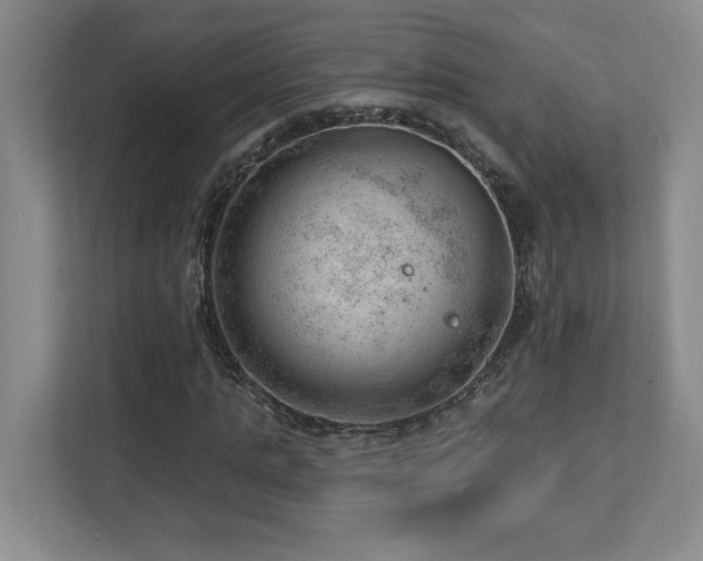 X0000112740821200908201344