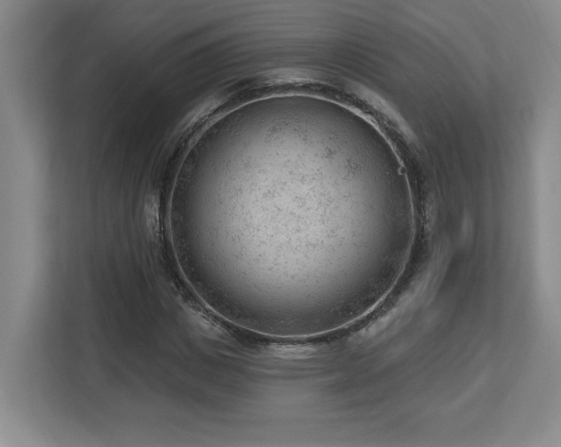 X0000112740825200908201344