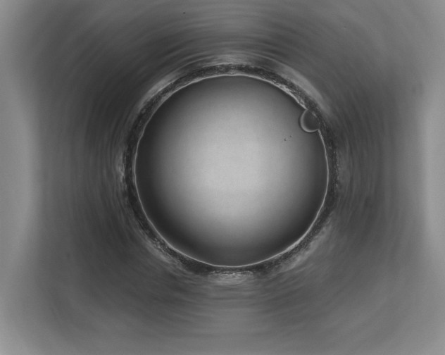 X0000112740826200908201344
