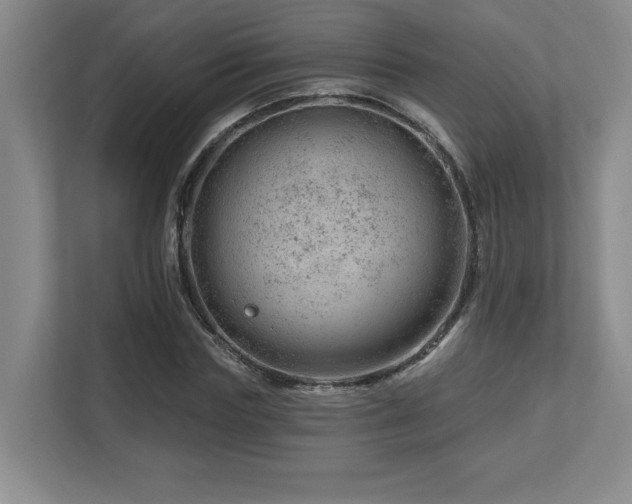 X0000112740827200908201344