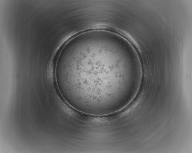 X0000112740835200908201345